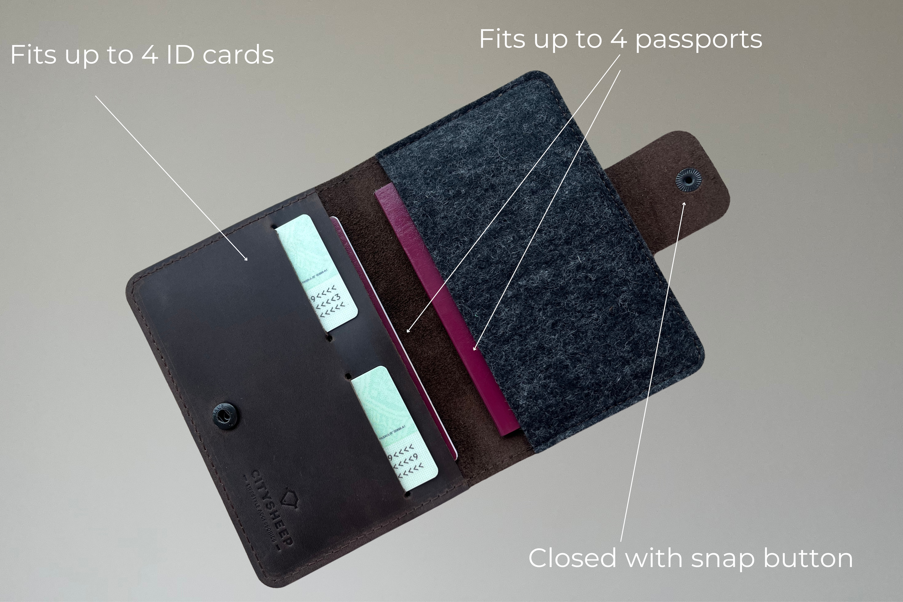 passport travel wallet